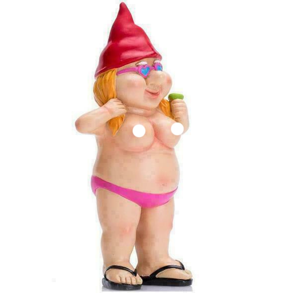 Funny Nude Gnomes