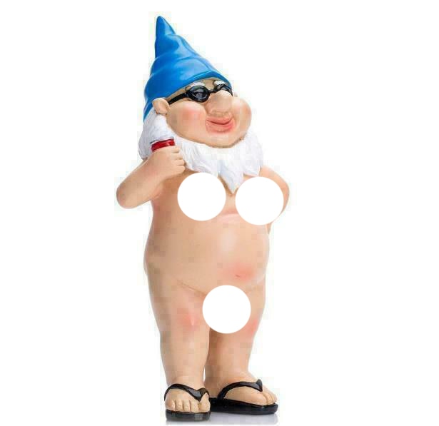 Funny Nude Gnomes